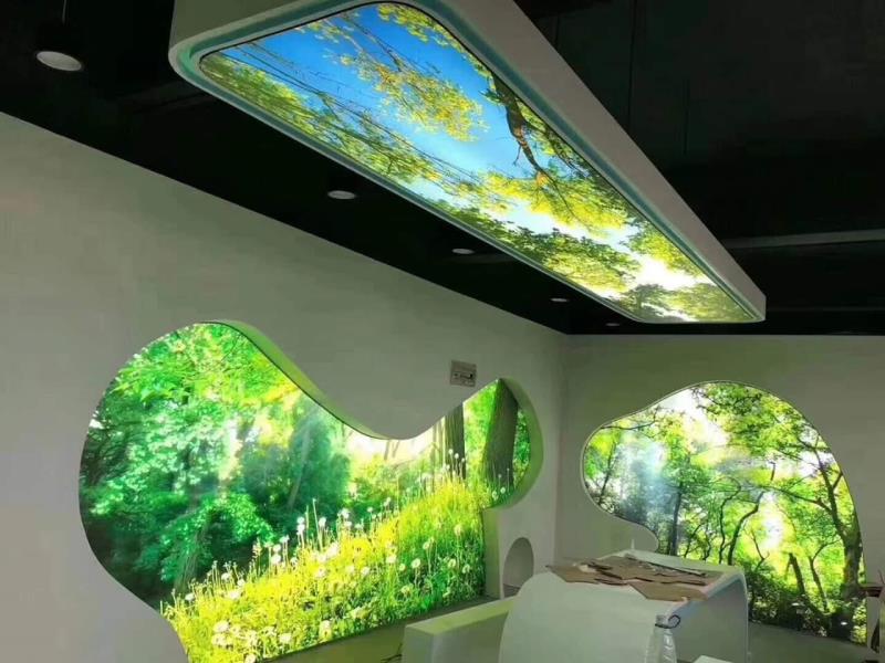 3d Stretch Ceiling