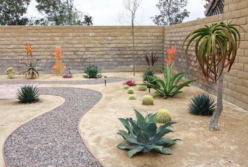 Add Desert Look in Landscaping