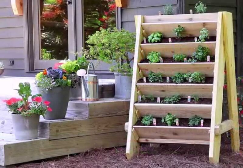 Shelves vertical garden