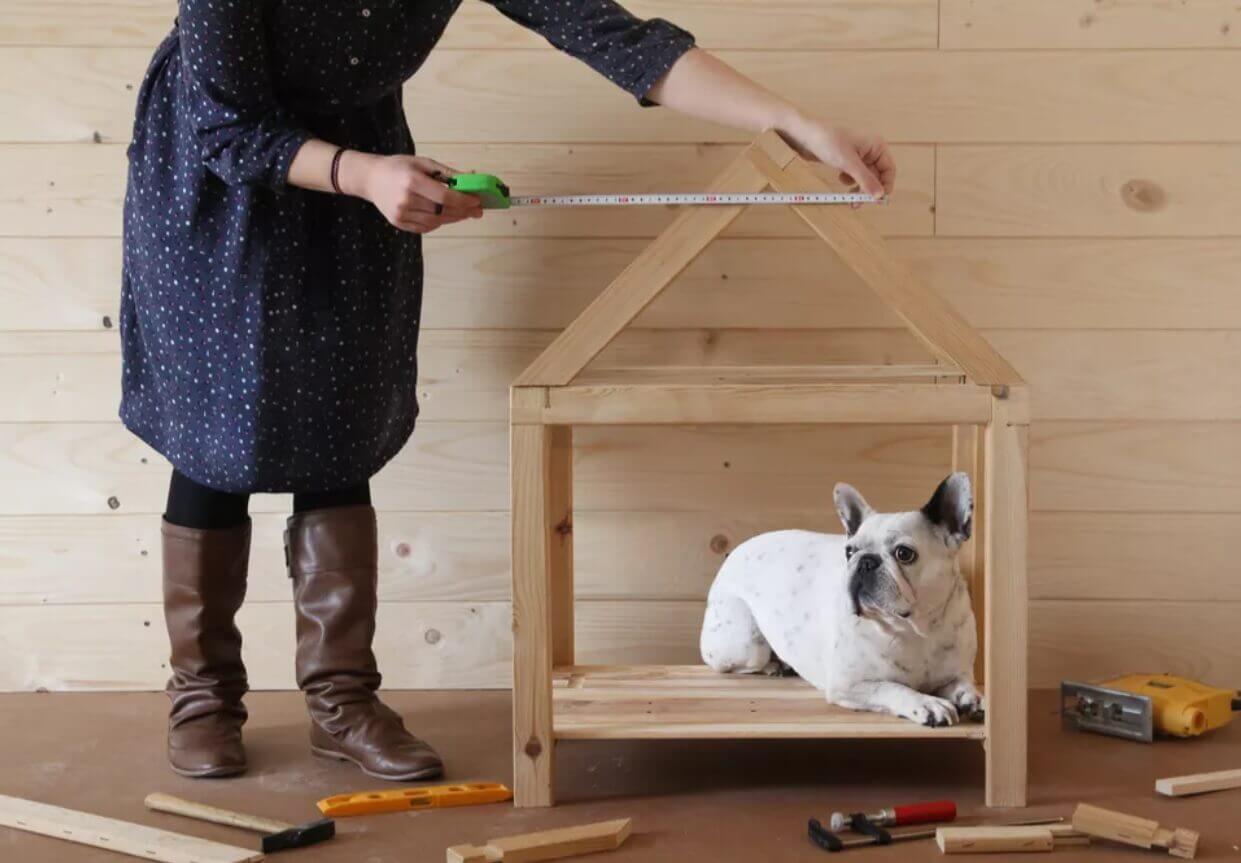 DIY Outdoor Doghouse- Top 8 things to consider before start building