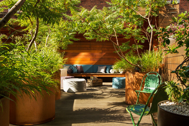 Low-Maintenance Trees for Your Small Garden