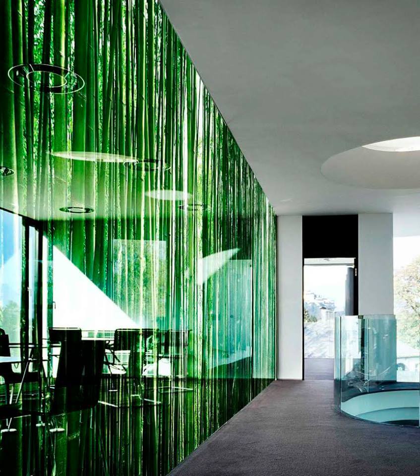 printed glass partition panel